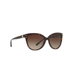 Michael Kors JAN Sunglasses 300613 dark tortoise - product thumbnail 2/3