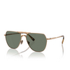 Lunettes de soleil Michael Kors KESWICK 18993H shiny gold - Vignette du produit 2/3