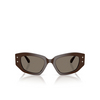 Michael Kors LE PRAZ Sunglasses 4007/3 chocolate - product thumbnail 1/3