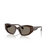 Michael Kors LE PRAZ Sunglasses 4007/3 chocolate - product thumbnail 2/3