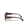 Michael Kors LE PRAZ Sunglasses 4007/3 chocolate - product thumbnail 3/3