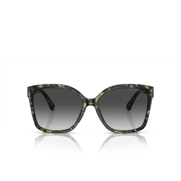 Gafas de sol Michael Kors MALIA 39538G amazon green tortoise