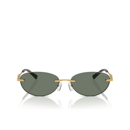 Michael Kors MANCHESTER Sunglasses 18963H green solid