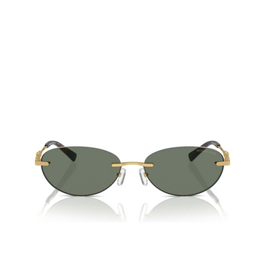 Michael Kors MANCHESTER Sunglasses 18963H green solid - front view