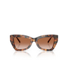 Gafas de sol Michael Kors MONTECITO 39043B jet set tortoise - Miniatura del producto 1/3