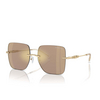 Michael Kors QUéBEC Sunglasses 10145A brown mirror - product thumbnail 2/3