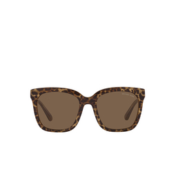 Michael Kors SAN MARINO Sunglasses 391773 brown