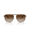 Lunettes de soleil Michael Kors SILVERTON 100113 matte husk - Vignette du produit 1/3