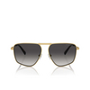 Lunettes de soleil Michael Kors SILVERTON 18968G shiny yellow gold - Vignette du produit 1/3