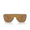 Lunettes de soleil Michael Kors SNOWMASS 1001F9 matte husk - Vignette du produit 1/3