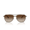 Occhiali da sole Michael Kors WHISTLER 100113 matte husk - anteprima prodotto 1/3