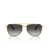 Lunettes de soleil Michael Kors WHISTLER 18968G shiny yellow gold - Vignette du produit 1/3