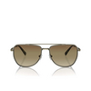 Occhiali da sole Michael Kors WHISTLER 1897GL shiny olive - anteprima prodotto 1/3