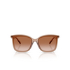 Michael Kors ZERMATT Sunglasses 39383B brown transparent - product thumbnail 1/3