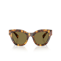 Lunettes de soleil Miu Miu MU 01YS 14L09Z havana honey