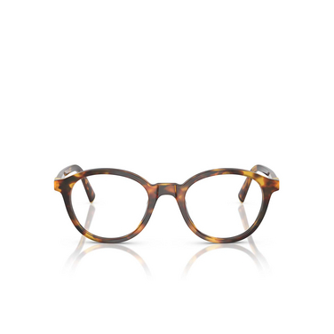 Miu Miu MU 02WV Eyeglasses 14L1O1 honey havana - front view