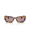 Lunettes de soleil Miu Miu MU 09WS 14L20I honey havana - Vignette du produit 1/3