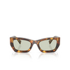 Miu Miu MU 09WS Sunglasses 14L50O honey havana - product thumbnail 1/3