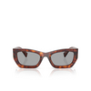 Miu Miu MU 09WS Sunglasses 21C40O havana mogano - product thumbnail 1/3