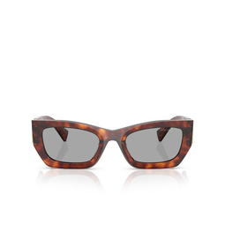 Gafas de sol Miu Miu MU 09WS 21C40O havana mogano