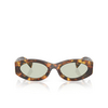 Miu Miu MU 11WS Sunglasses 14L50O honey havana - product thumbnail 1/3