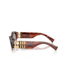 Miu Miu MU 11WS 21C40O mahogany havana - product thumbnail 3/4
