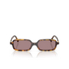 Miu Miu MU 11ZS Sunglasses 14L20I havana honey - product thumbnail 1/3