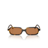 Miu Miu MU 11ZS Sunglasses VAU2Z1 honey havana - product thumbnail 1/3