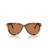 Miu Miu MU 12ZS Sunglasses VAU01T havana honey - product thumbnail 1/3