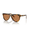 Miu Miu MU 12ZS Sunglasses VAU01T havana honey - product thumbnail 2/3