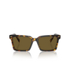 Gafas de sol Miu Miu MU 13ZS VAU01T honey havana - Miniatura del producto 1/3