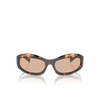 Miu Miu MU 14ZS Sunglasses 14L90H honey havana - product thumbnail 1/3