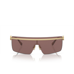 Miu Miu MU 50ZS Sunglasses ZVN70D pale gold