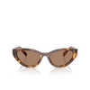 Miu Miu MU A04S 14L60M havana honey - product thumbnail 1/4