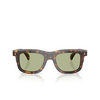 Occhiali da sole Moncler CLARO 300282 brown tortoise - anteprima prodotto 1/3