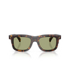 Moncler CLARO Eyeglasses 300282 brown tortoise - product thumbnail 1/3