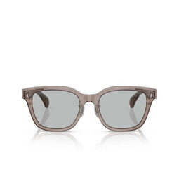 Moncler METROPE Sunglasses 300987 transparent dark grey