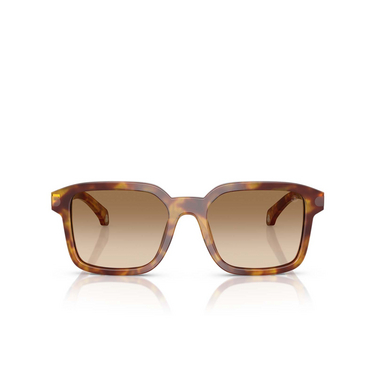 Moncler QUADERNA Sonnenbrillen 301189 havana honey - Vorderansicht