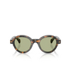 Moncler RONDOSA Eyeglasses 300682 brown green havana - product thumbnail 1/3