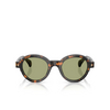 Occhiali da sole Moncler RONDOSA 300682 brown green havana - anteprima prodotto 1/3