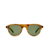 Gafas de sol Mr. Leight STAHL S MRRYE-ATG/GRN marbled rye-antique gold/green - Miniatura del producto 1/3