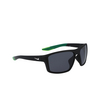 Nike BRAZEN FURY Sunglasses 010 matte black / dark grey - product thumbnail 2/4