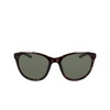 Nike CITY HERO Sunglasses 298 tortoise / green - product thumbnail 1/4