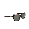 Nike CITY HERO Sunglasses 298 tortoise / green - product thumbnail 2/4