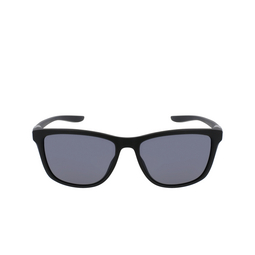 Gafas de sol Nike CITY ICON 010 matte black / dark grey