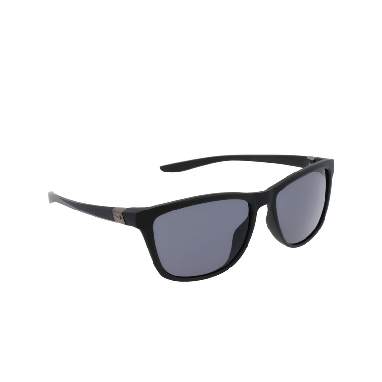 Nike CITY ICON Sunglasses 010 matte black / dark grey - 2/4