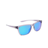 Nike CITY ICON M Sunglasses 573 dark raisin / grey - turq - product thumbnail 2/4