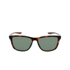 Lunettes de soleil Nike CITY ICON P 221 soft tortoise / green polarized - Vignette du produit 1/4