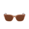 Gafas de sol Nike CRESCENT II 201 milky mink / brown - Miniatura del producto 1/4