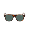 Occhiali da sole Nike CRESCENT III 298 tortoise / green - anteprima prodotto 1/4